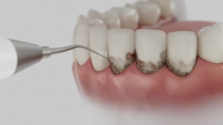 Reliable Dental contractor in Hebron, MD by Dentist Open Now